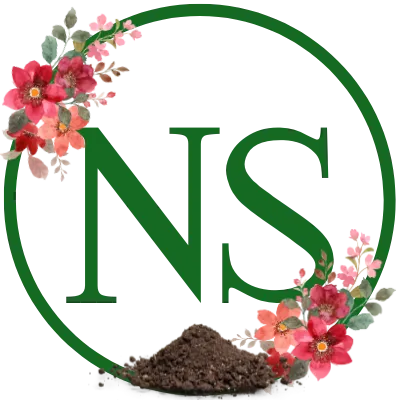 NS logo, New Saint & Company, daily Seed, the podcast where faith meets practicality, building new believers sole to soul.