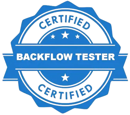 16 years of experience