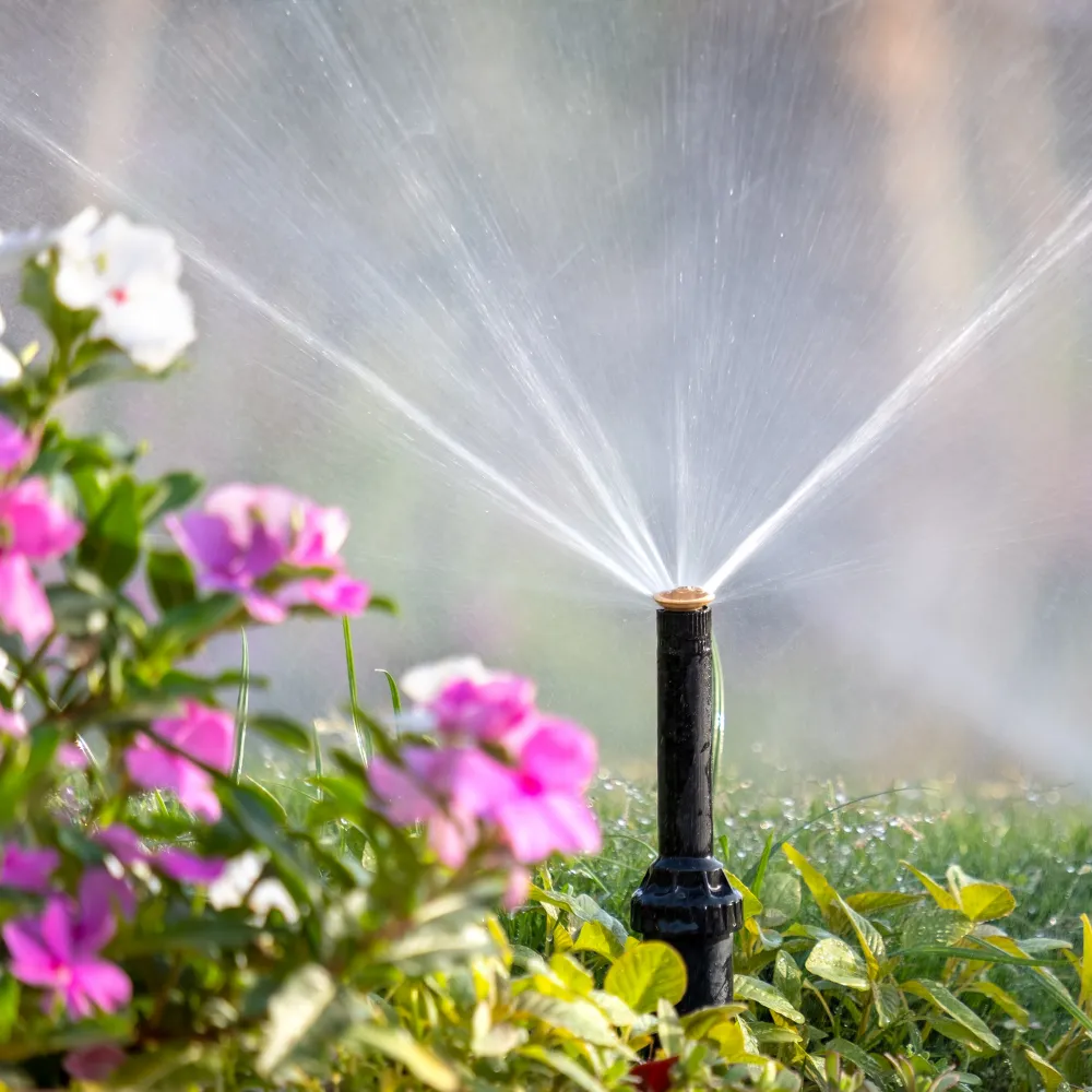 Irrigation