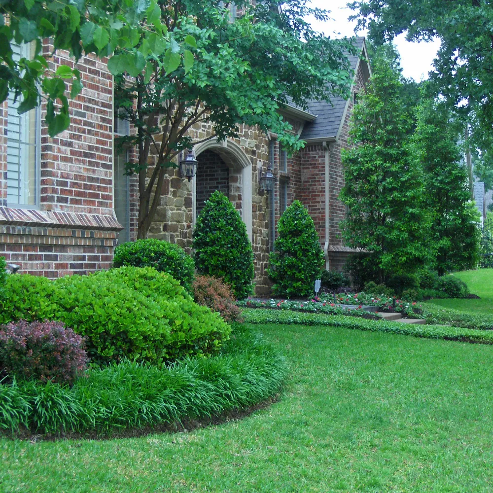 Landscape Design