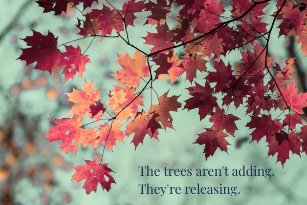 Your Body Already Knows It's Autumn: 3 Ways to Come Back to Center Before the Holidays