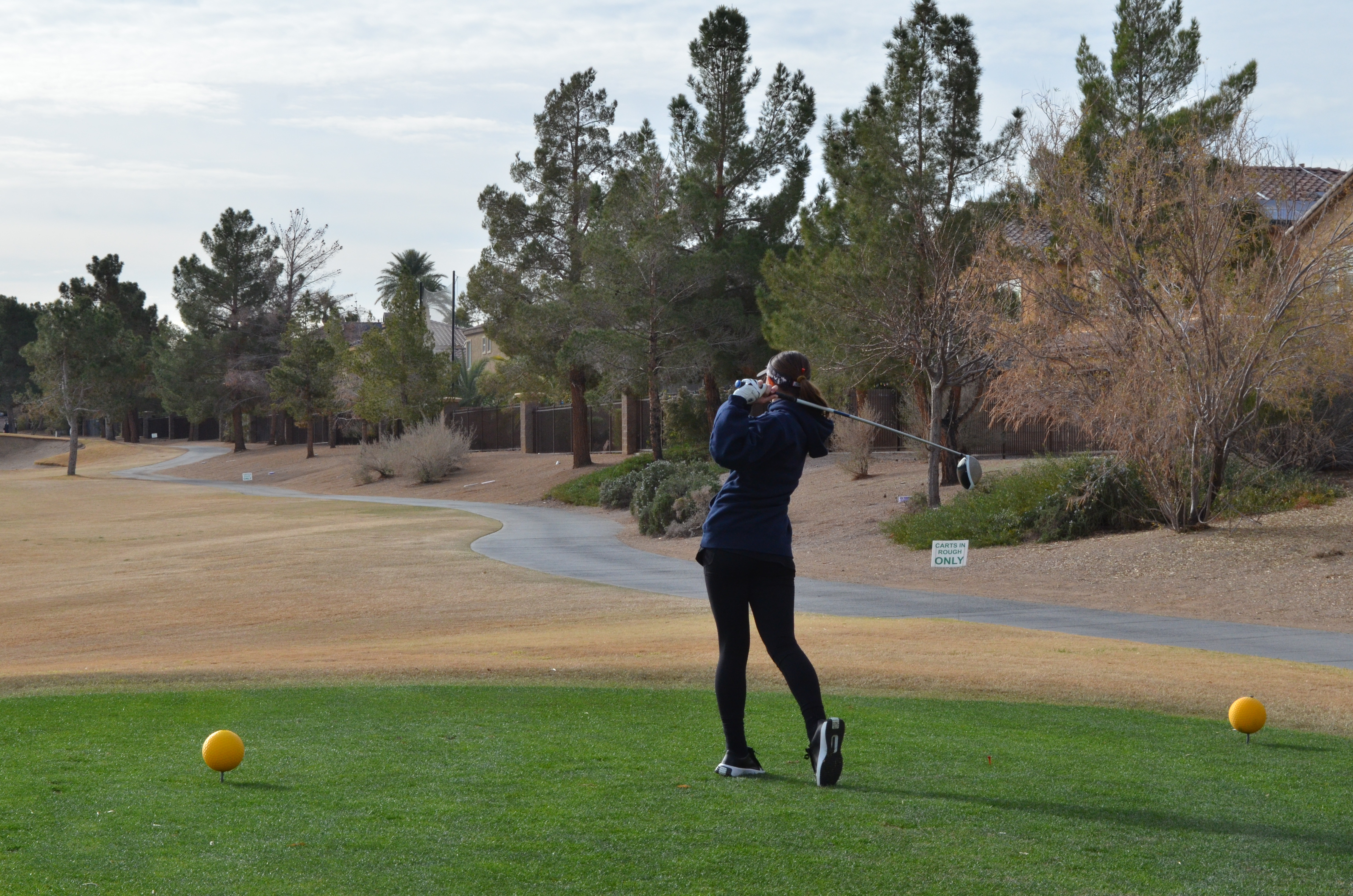 College Golf Pathway | Structured Mentorship For Future Collegiate Golfers
