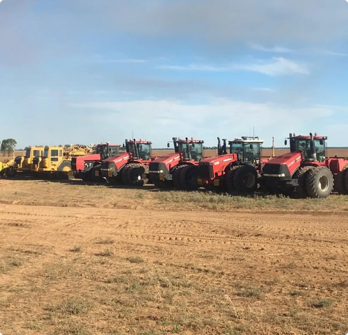 Southern Cross Farms