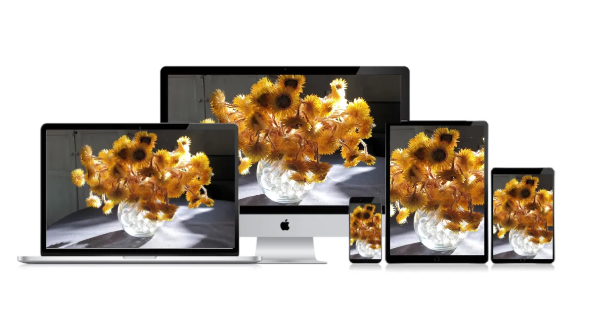 creativity through photography with phone camera