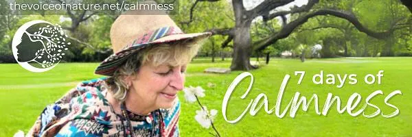 white fluffy cloud in bright blue sky with words 7 days of calmness