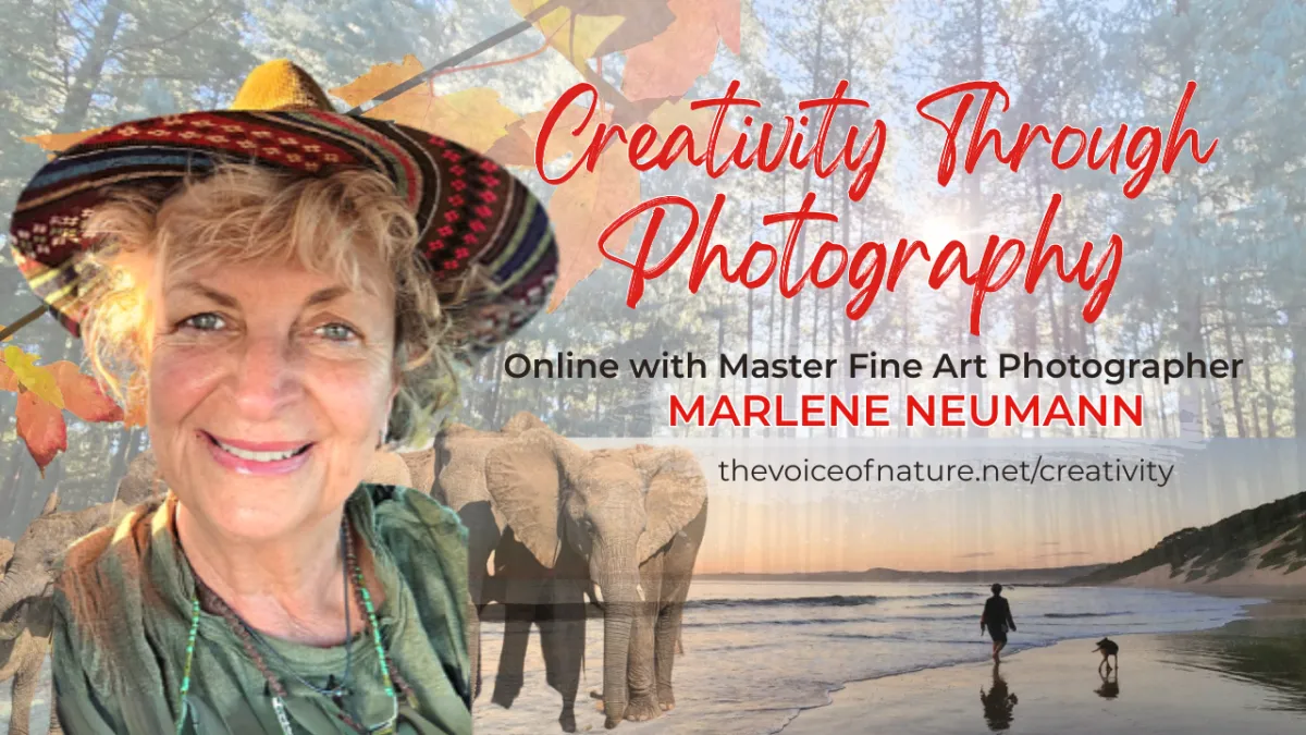 Smiling lady wearing hat looking at camera. Elephants behind her. Canopy of trees looking to the light. Person an dog walking along the beach. Words say Creativity through Photography. Online with Master Fine Art Photographer Marlene Neumann. thevoiceofnature.net/creativity