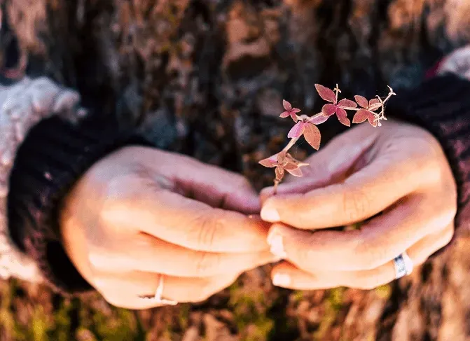 The Simplify Promise