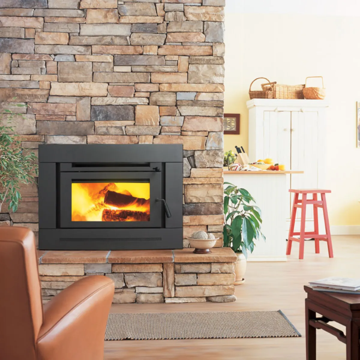 Regency - Greenfire Gas Fireplaces