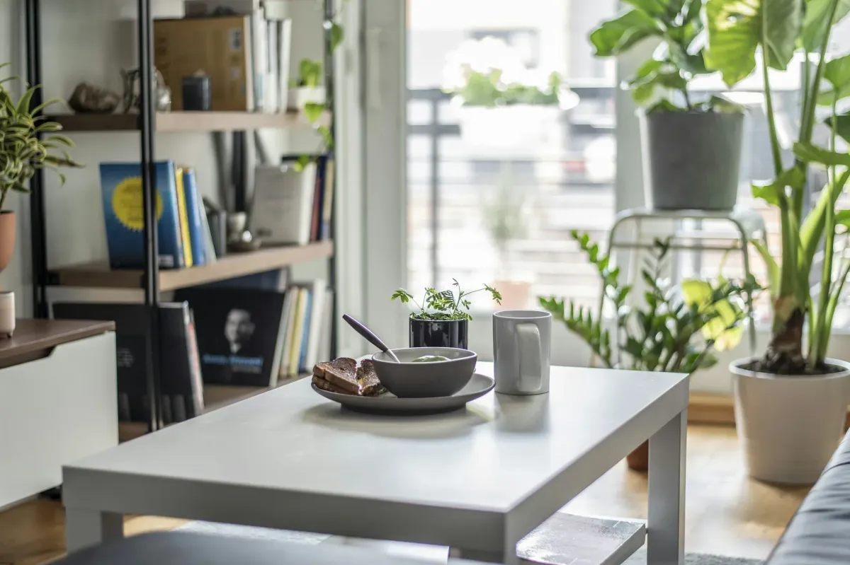 5 Top Benefits of House Cleaning Services in NYC Apartment