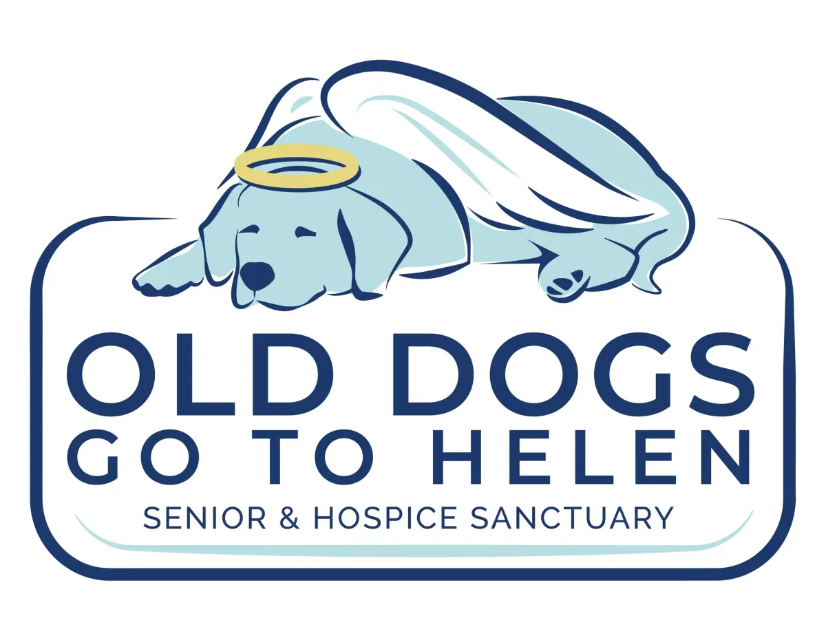 Old Dogs Go To Helen's