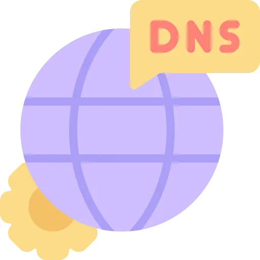 DNS Transfer