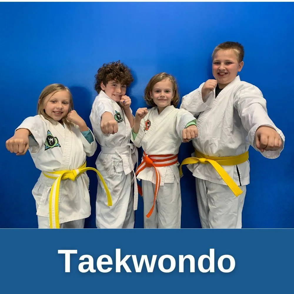 Taekwondo Classes In Clarksville!