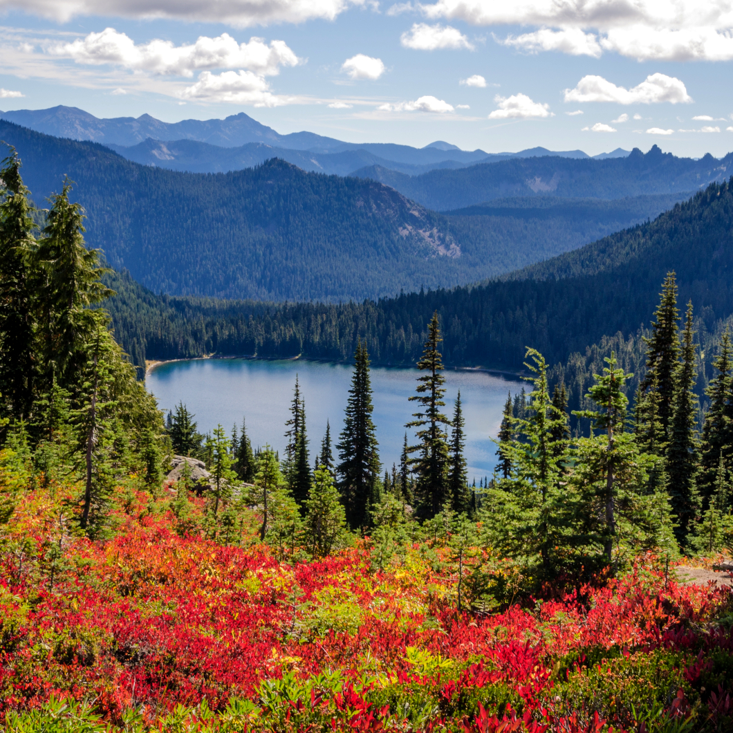 A Women's Retreat in Alaska