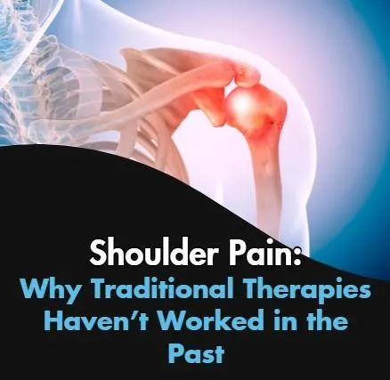 close-up photo of brown bone