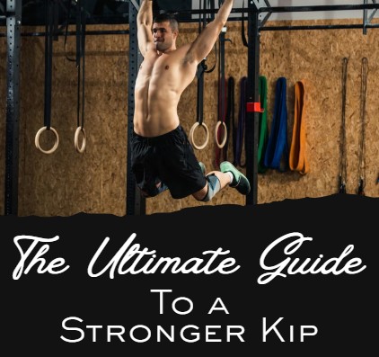 close-up photo of brown bone