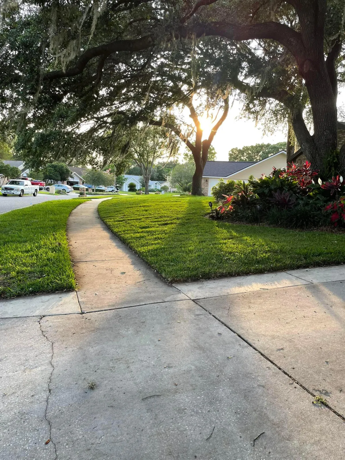 Landscaping South Tampa