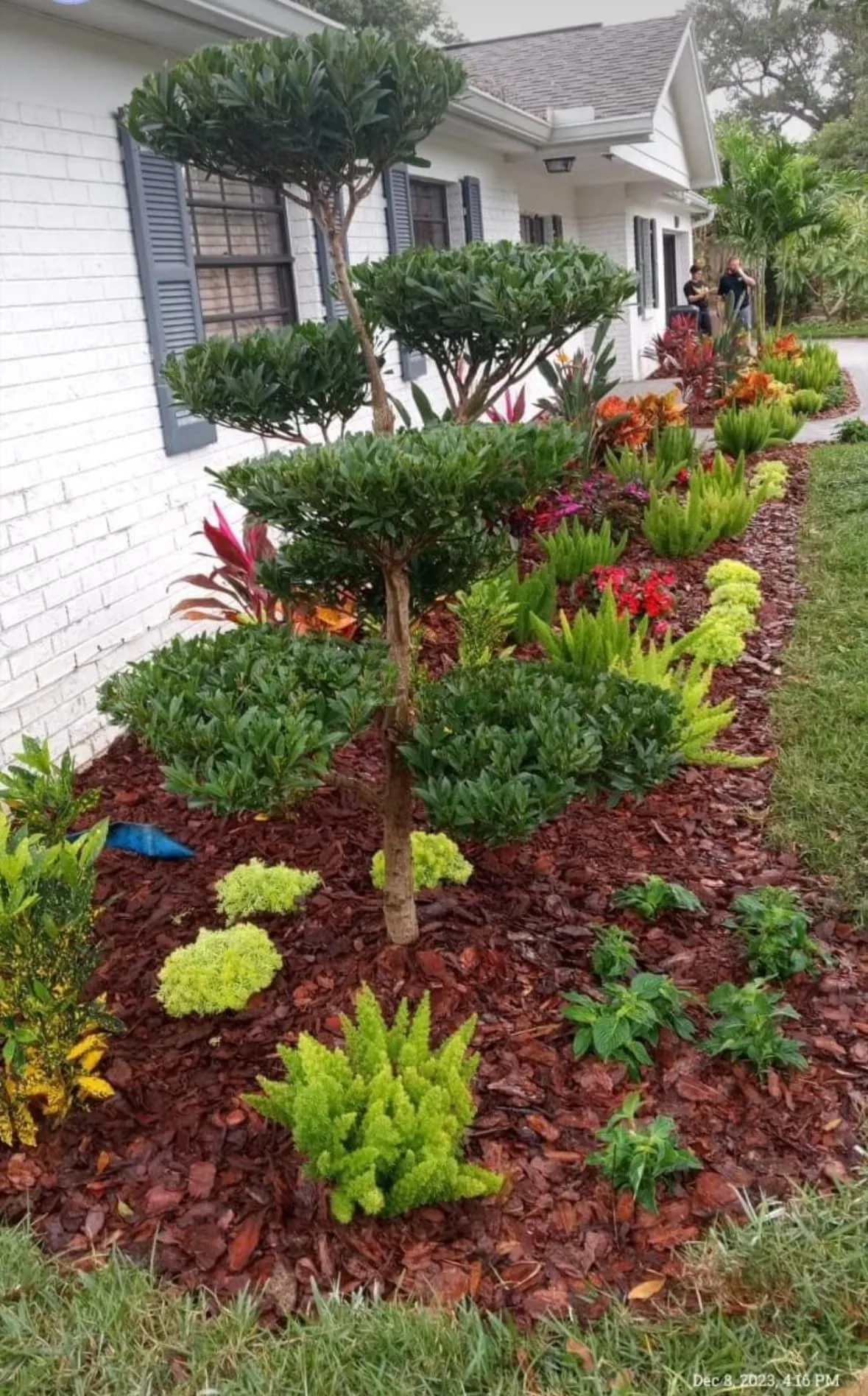 landscape companies tampa