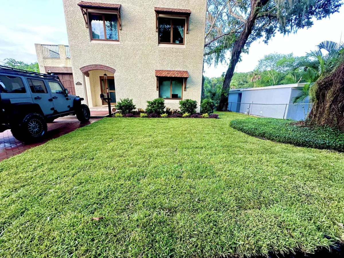 Landscaping Tampa Fl