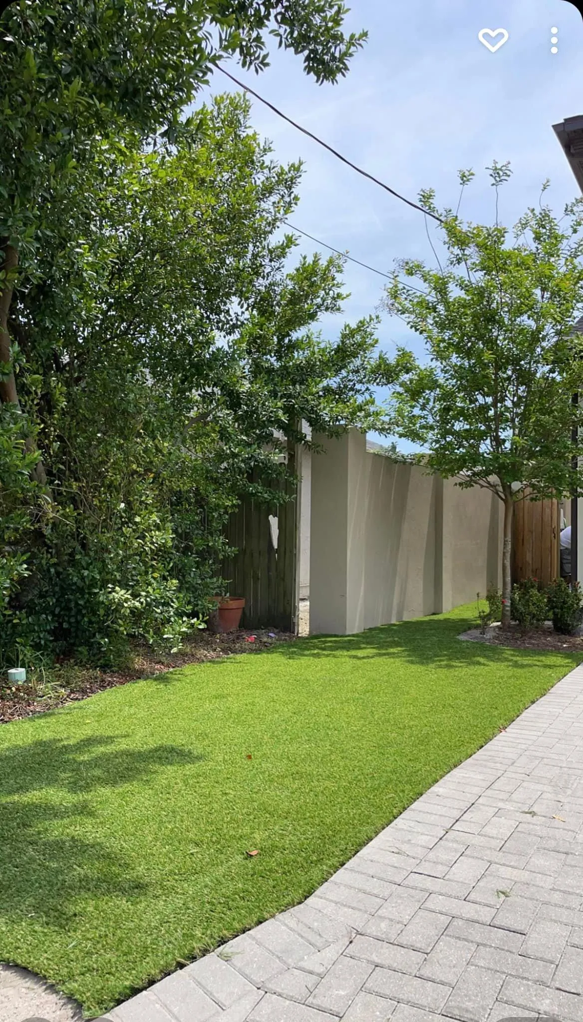 tampa landscape design