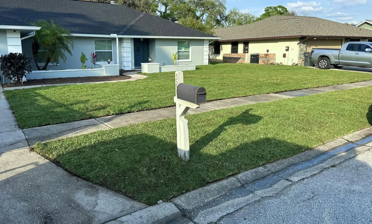 Tampa Sprinkler Repair