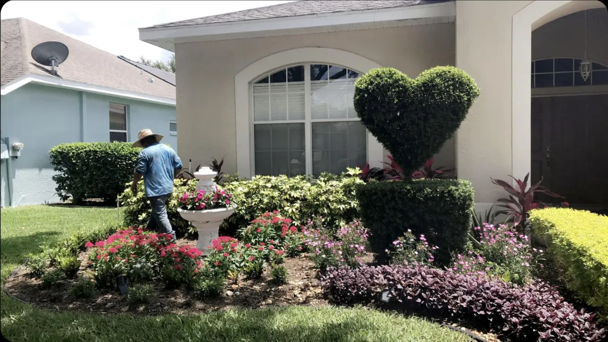 professional landscape services tampa