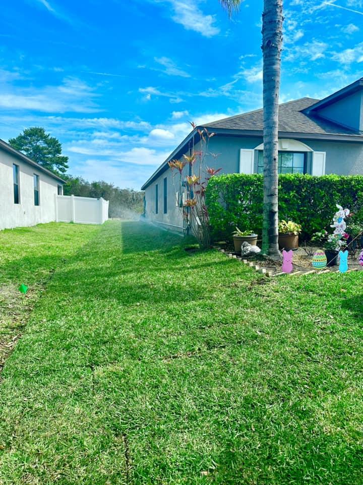 landscapers near tampa