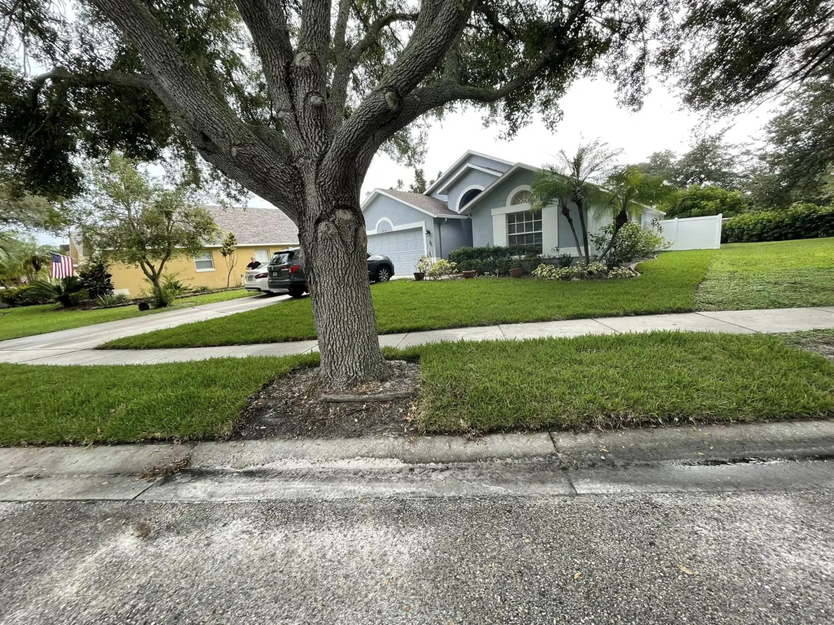 Tampa Sprinkler Repair