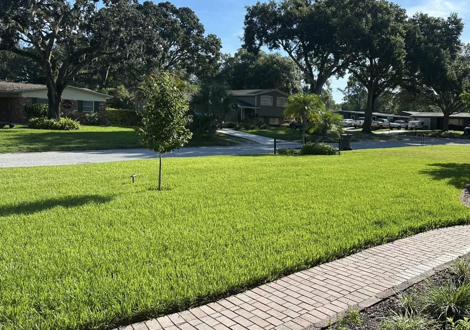 sod installation south tampa