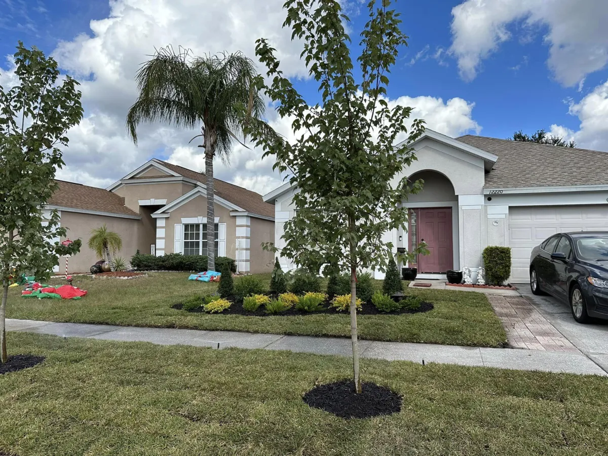 Landscaping Tampa