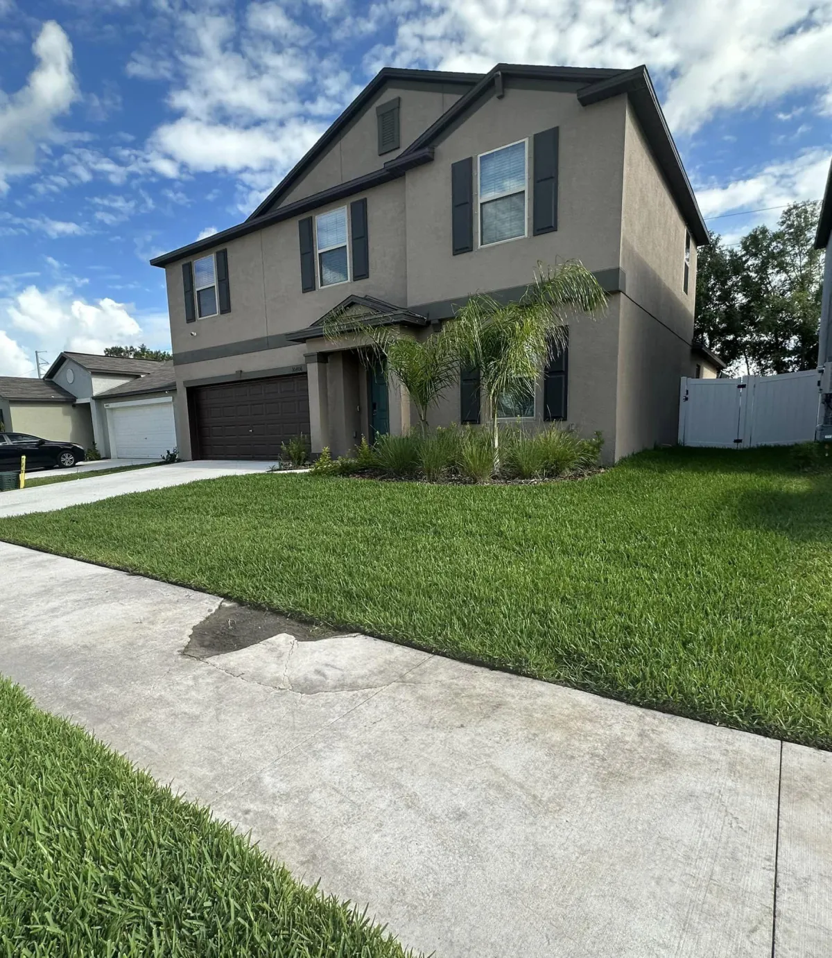 Landscaping Tampa Fl