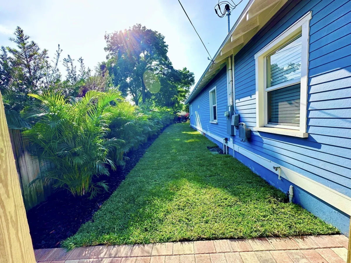 Sod Installation Tampa