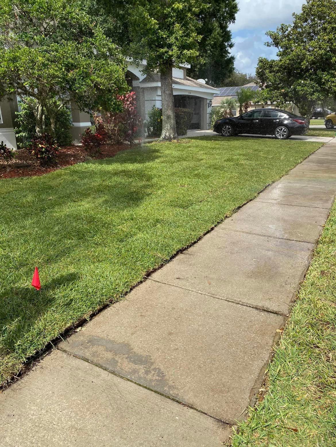 tampa fl lawn service