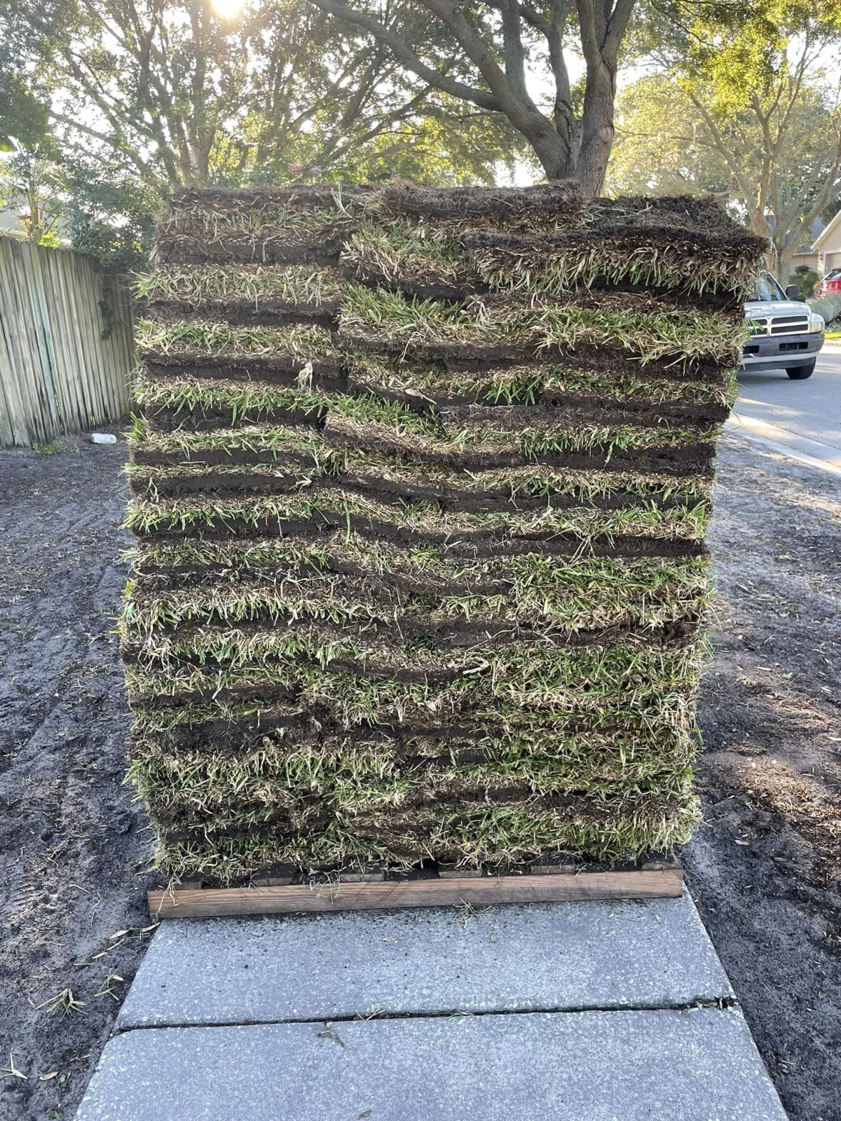 Sod Installation Tampa