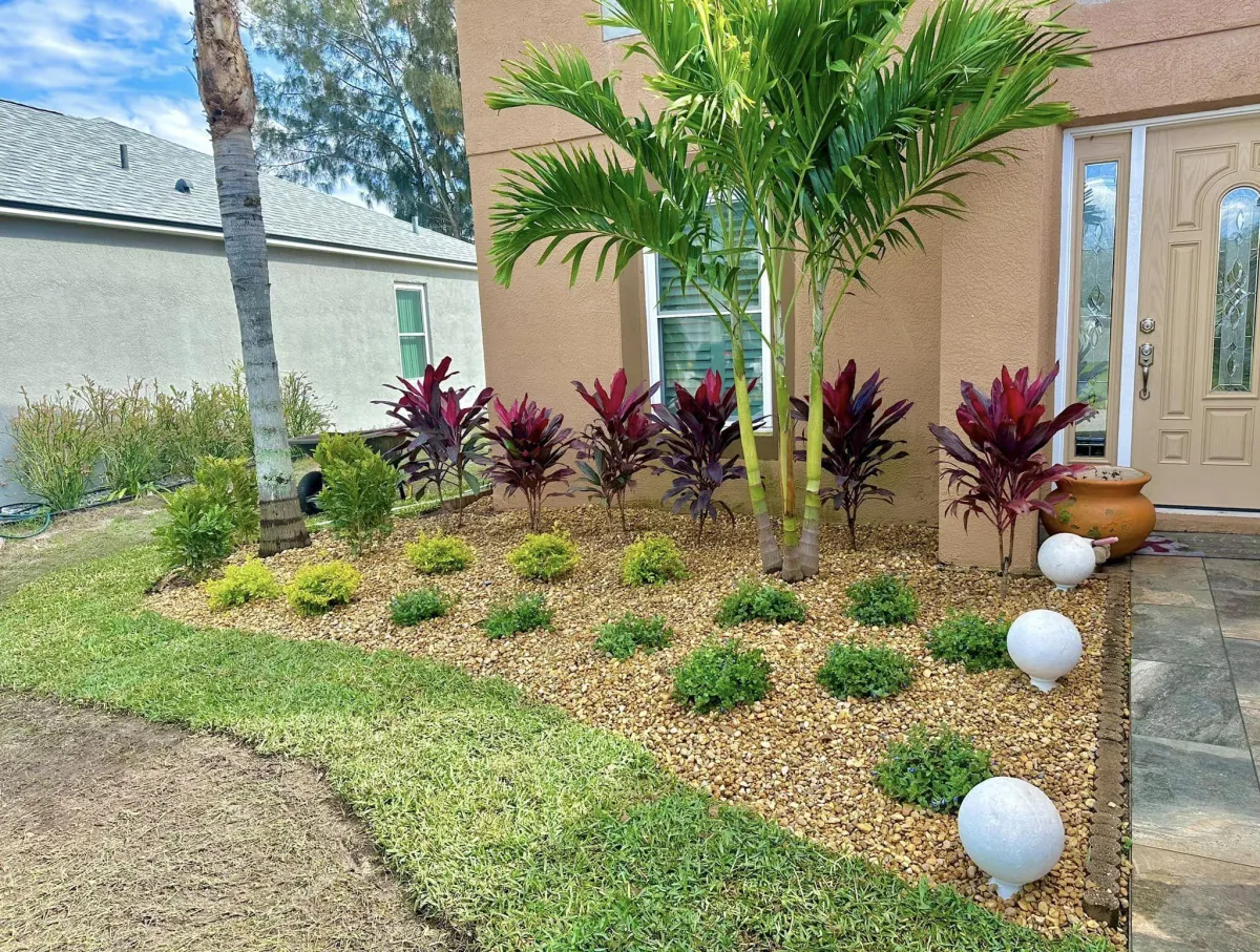 Sod Installation Tampa Fl