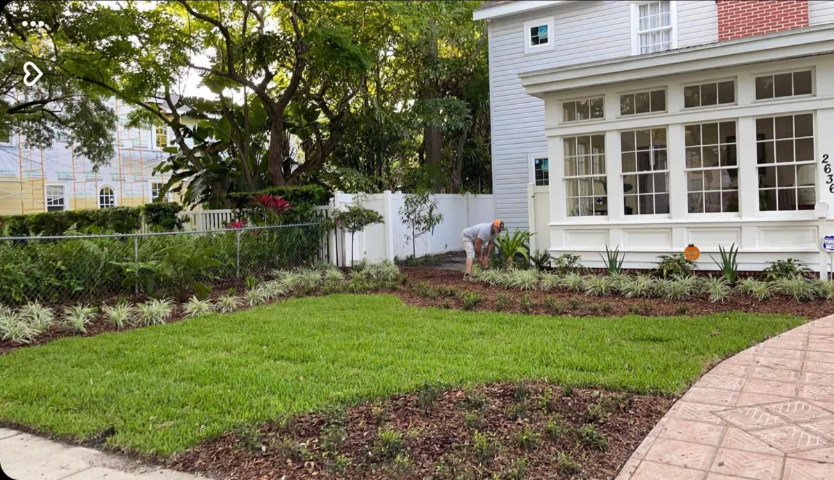 south tampa lawn care