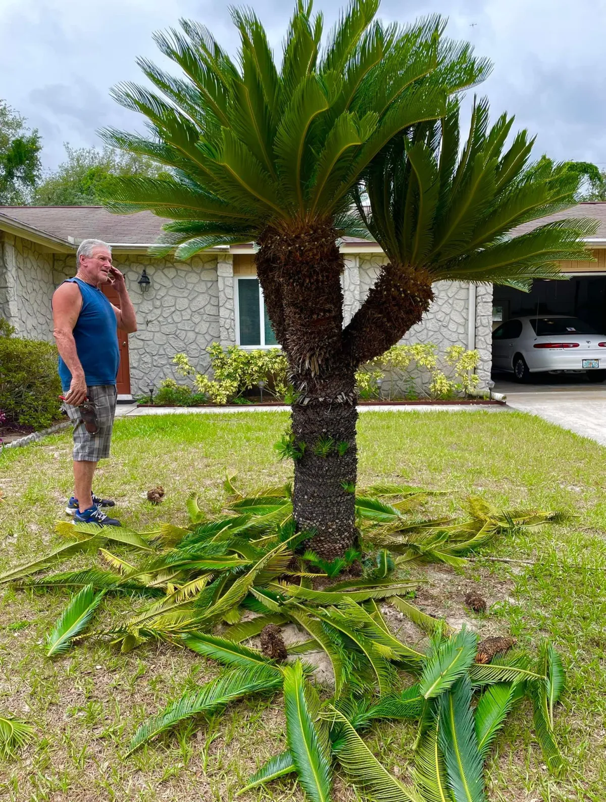 Turf Installation Tampa