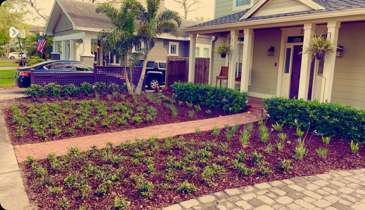 Professional Landscape Services Tampa