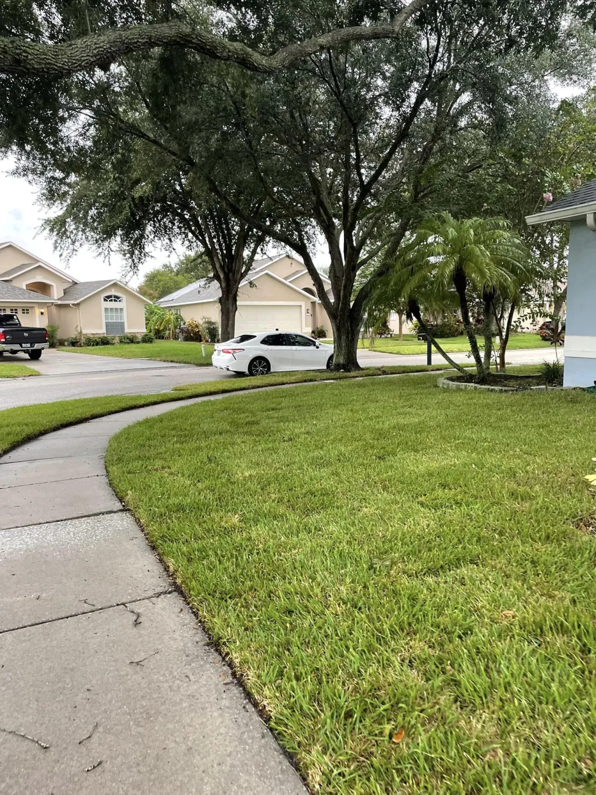 Irrigation Repair Tampa