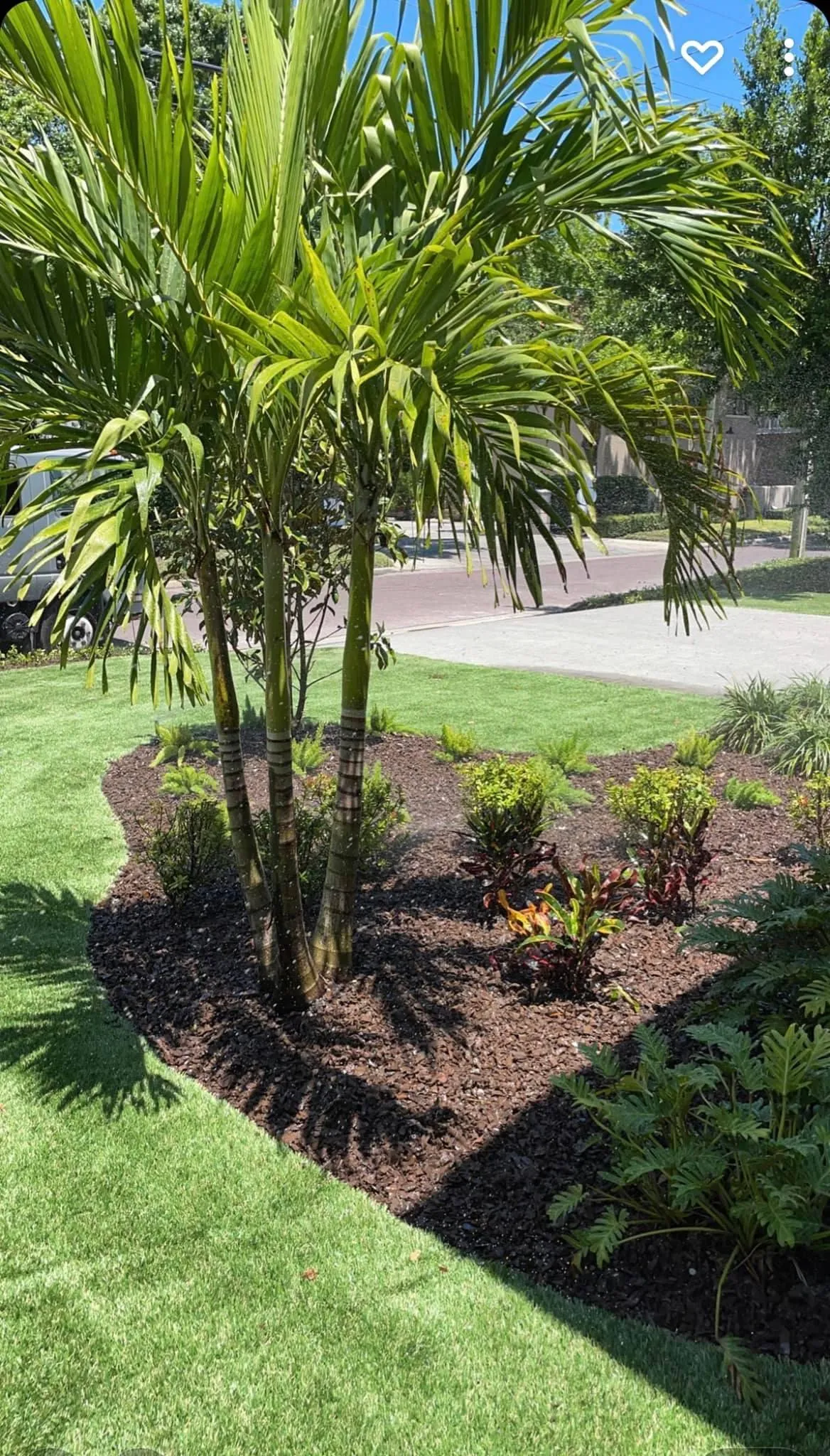 tampa fl lawn services