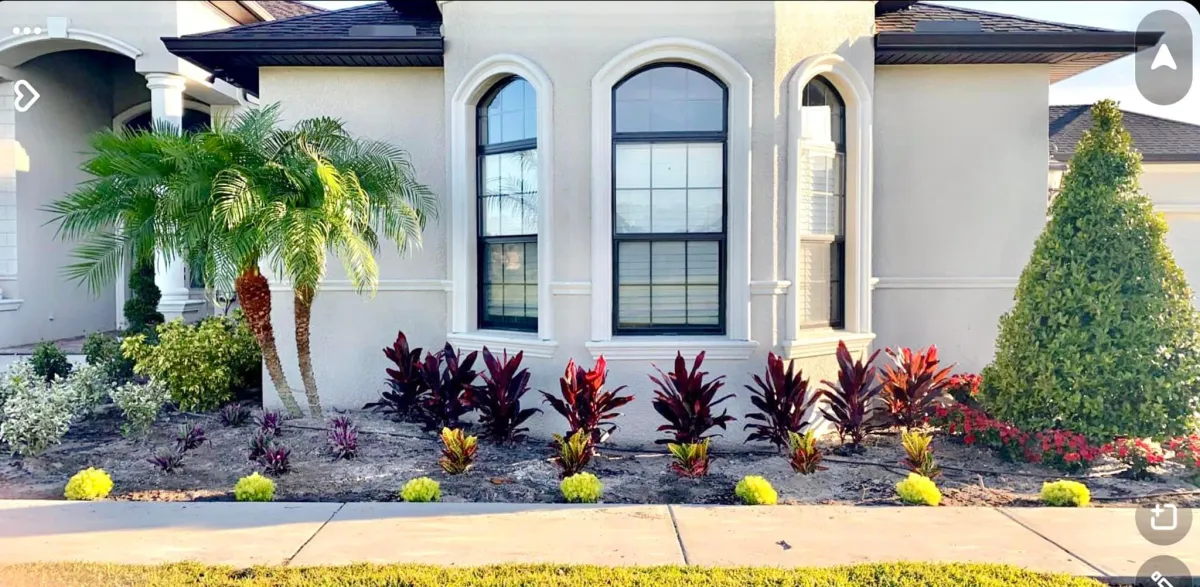 landscape designer tampa