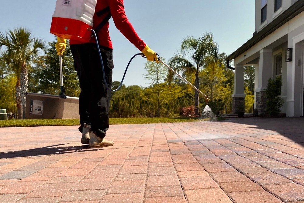 Paver Repair in 