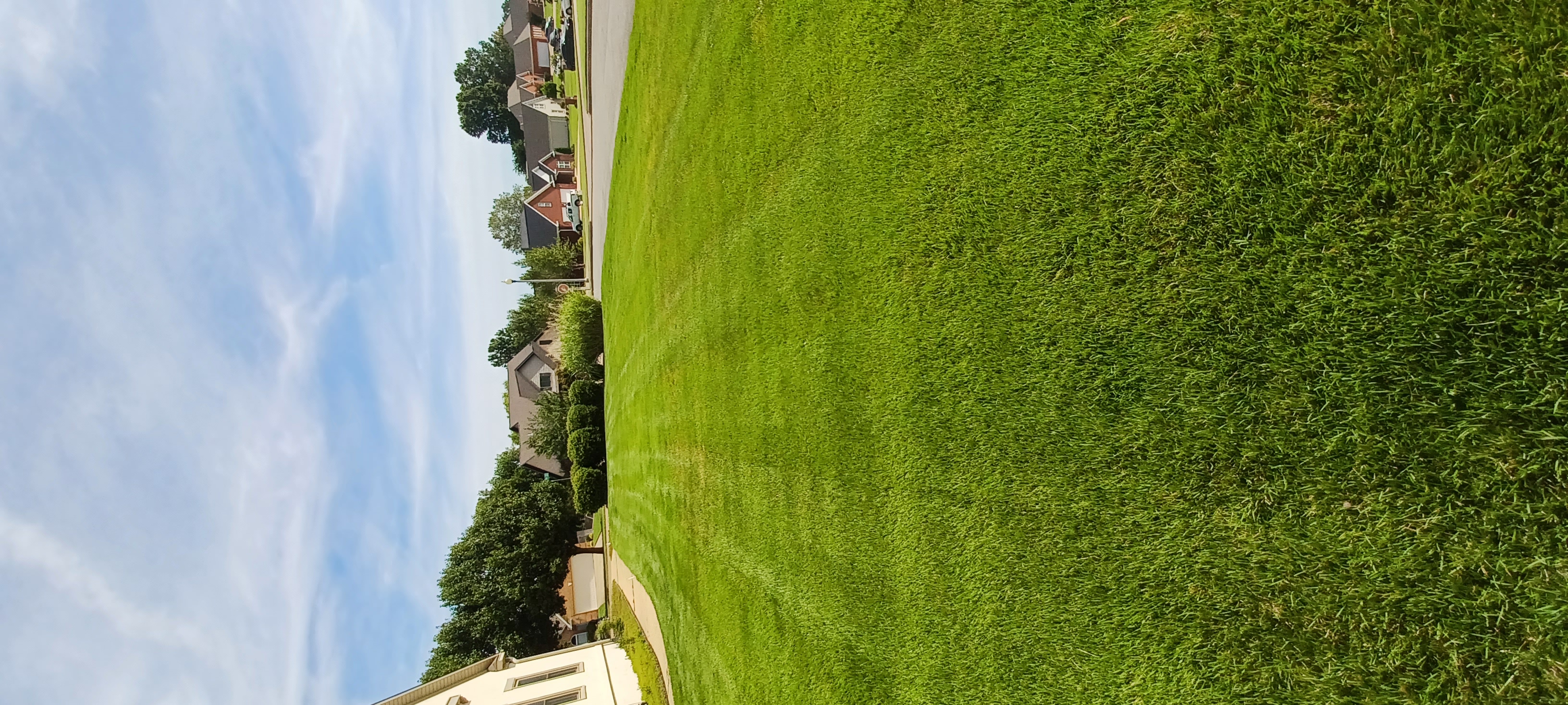 Concrete Contractor in Ventura County