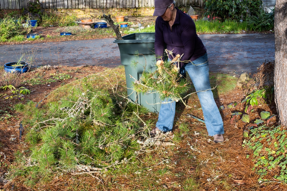 Yard Debris, Storm Cleanup, and Seasonal Waste: When a Dumpster Makes Sense
