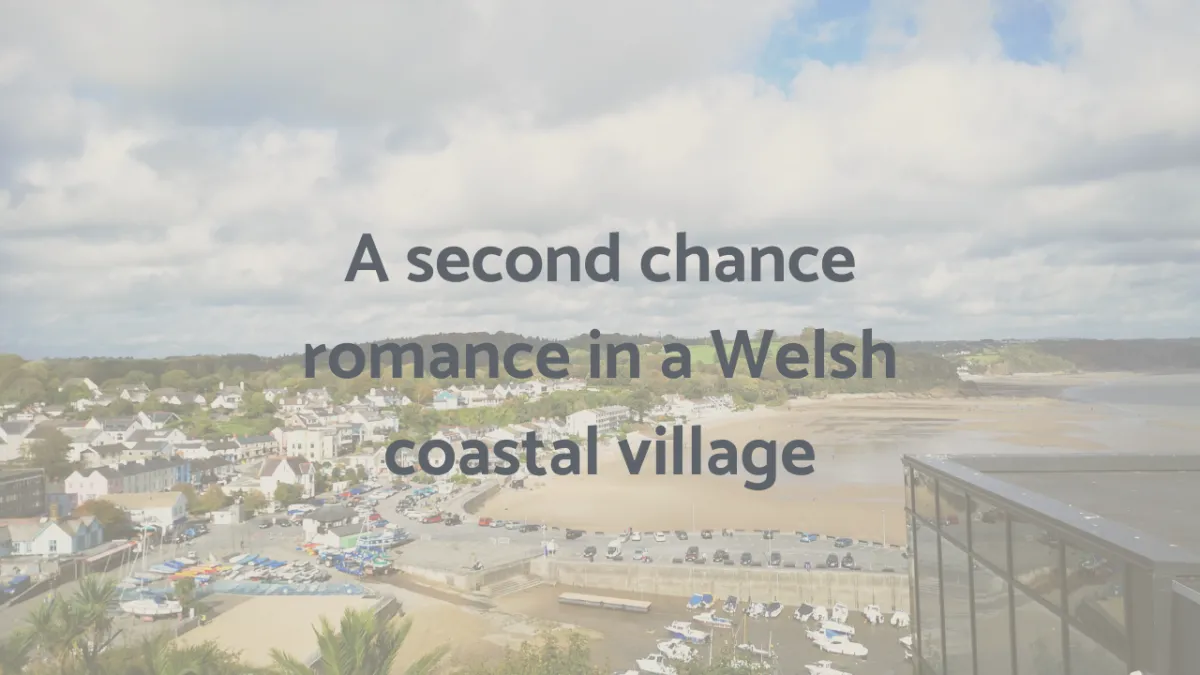Aerial view of Saunderfoot harbour representing the romance story that could be set in a small coastal village