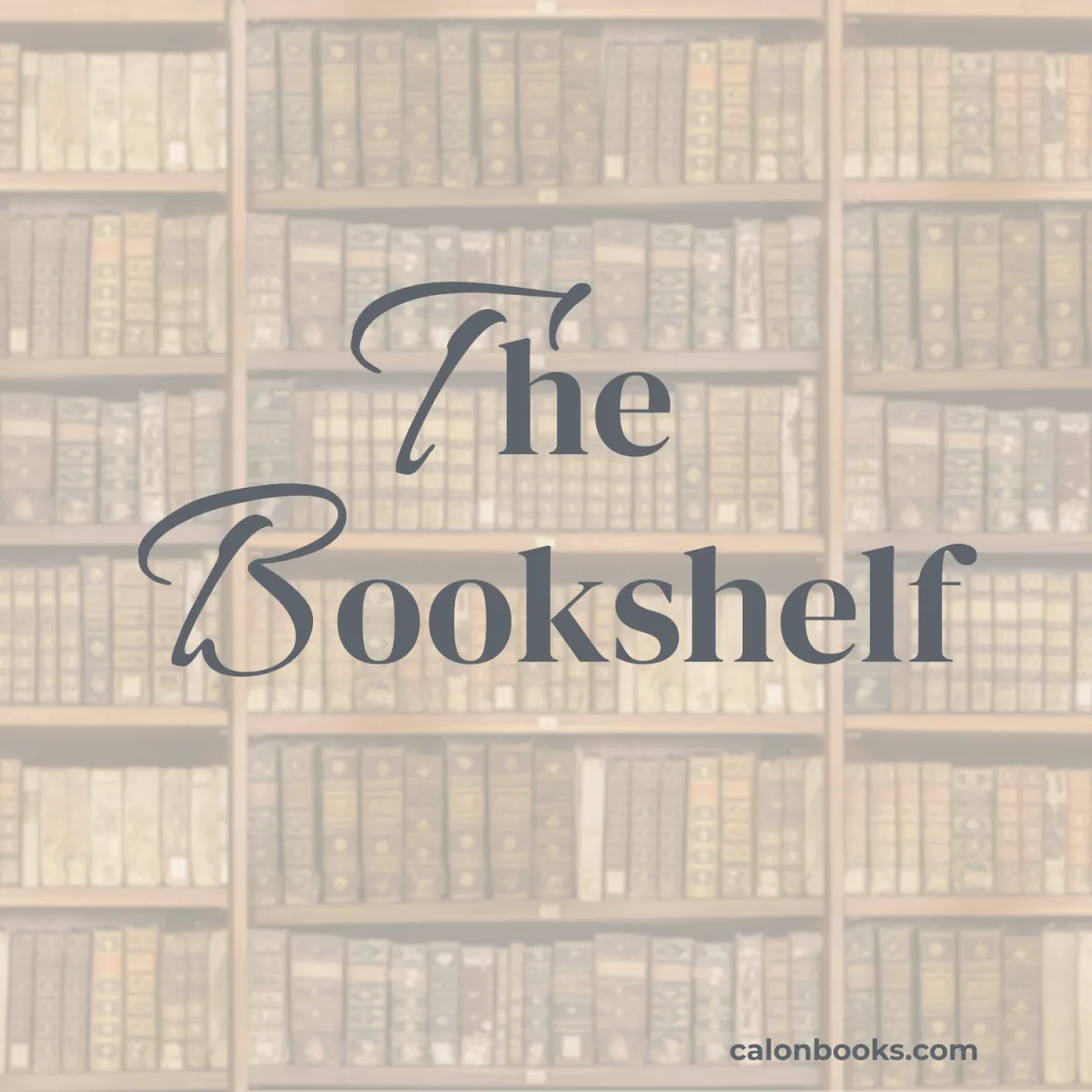 Bookshelves filled with novels representing romance book discussions and writing insights.