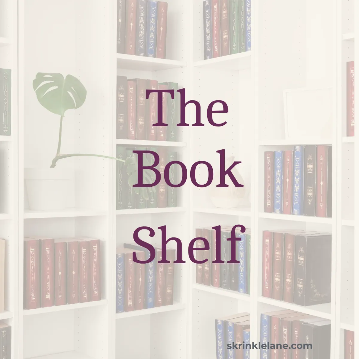 Bookshelves filled with novels representing romance book discussions and writing insights.