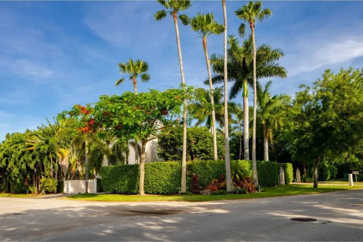Retail frontage turf installation