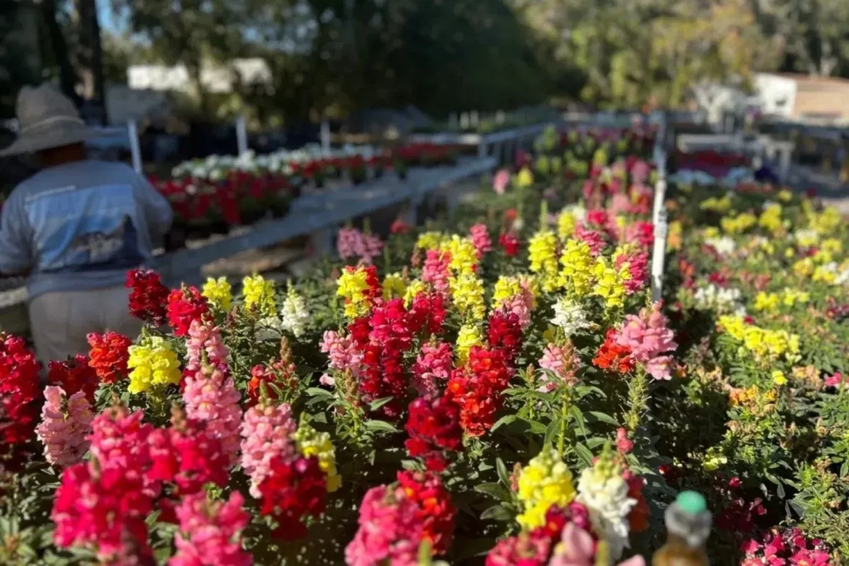 Commercial rooftop turf installation