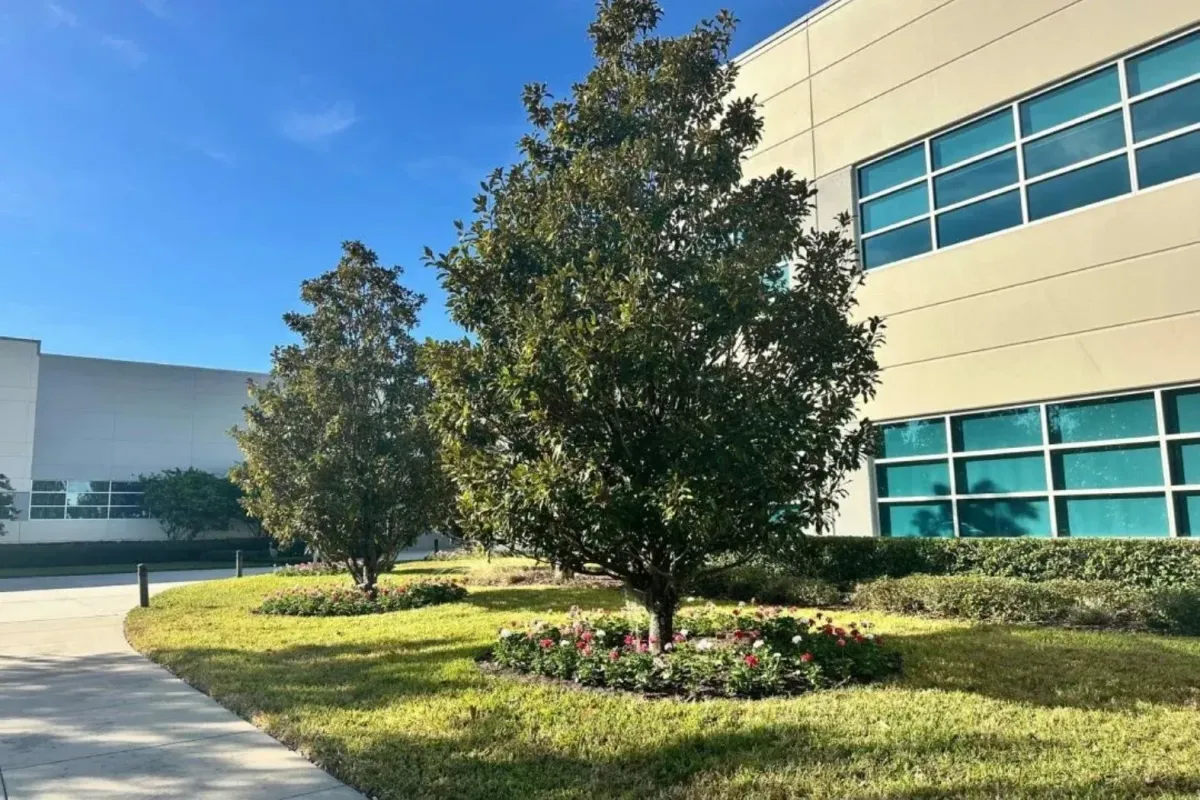 Municipal turf project