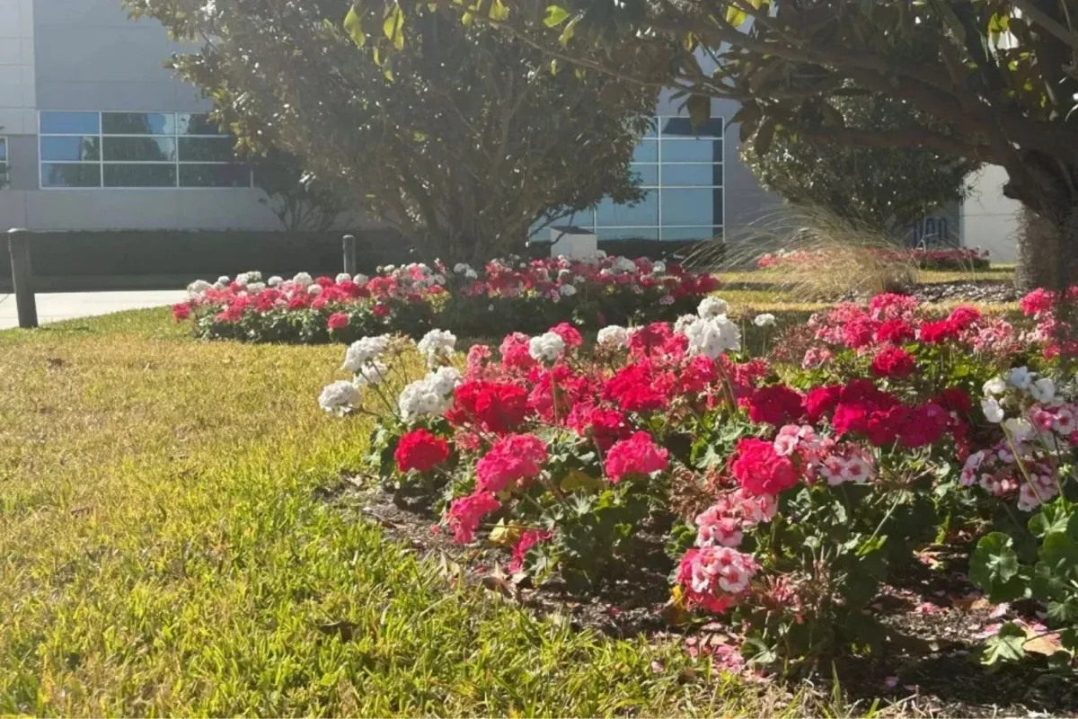 Modern artificial turf front yard in Tampa with sharp concrete edging